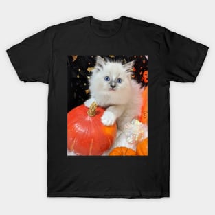 Halloween kitten T-Shirt